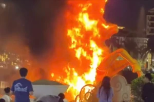 Cháy linh vật ngựa ở công viên Thương Bạc, TP Huế 