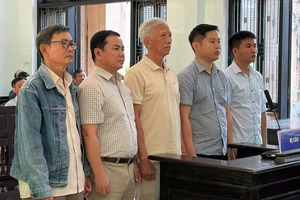 Phù phép số liệu tận thu rừng cháy, nhóm cán bộ ở Huế lãnh án