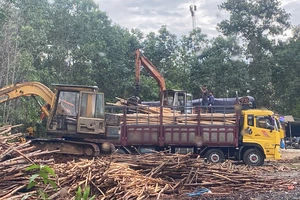 1 xã có 7 trạm cân keo tràm trái phép