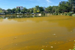 Mặt hồ Trái tim ở TP Huế xuất hiện lớp váng đặc quánh