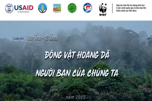 Vườn quốc gia Cát Tiên tổ chức cuộc thi vẽ tranh, chụp ảnh về động vật hoang dã