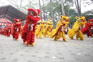 Đề xuất đưa 'Nghệ thuật Lân Sư Rồng TP.HCM' vào danh mục di sản văn hoá phi vật thể quốc gia