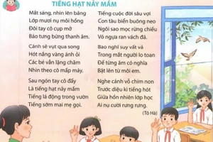 'Tiếng hạt nảy mầm' trong sách tiếng việt 5 bị chê, các nhà thơ nói gì? 