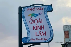 UBND quận 5 phản hồi về việc đặt tên 'Phố vải Soái Kình Lâm'