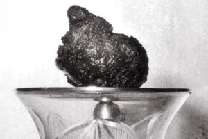 Tạm hoãn việc chiêm bái xá lợi trái tim Bồ tát Thích Quảng Đức tại Việt Nam Quốc Tự vào sáng 3-5 