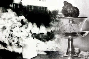 Những lưu ý khi chiêm bái xá lợi trái tim Bồ tát Thích Quảng Đức tại Việt Nam Quốc Tự