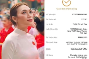 Ca sĩ Mỹ Tâm cùng nhiều nghệ sĩ hướng đến bà con bị ảnh hưởng bão số 10