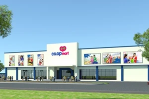 Khai trương siêu thị Co.opmart Bến Lức, Long An