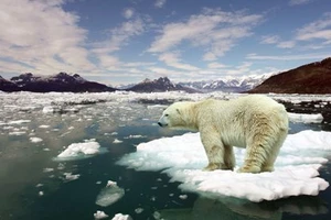 Nguy cơ thay đổi toàn bộ hệ sinh thái