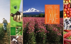 Thực phẩm chức năng và những điều chưa sáng tỏ