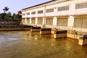 Sẵn sàng xả nước đợt hai vụ cấy Đông Xuân