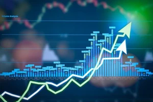 6 tháng cuối năm 2024, đầu tư gì để sinh lời cao?