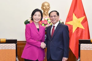 Hợp tác trên các lĩnh vực giữa Việt Nam - Hàn Quốc phát triển vượt bậc