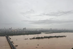 Hoa Kỳ hỗ trợ 1 triệu USD để Việt Nam khắc phục thiệt hại do bão YAGI