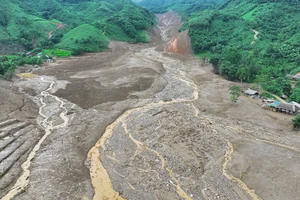 Thụy Sỹ hỗ trợ Việt Nam 1,2 triệu USD, cử chuyên gia sang giúp khắc phục hậu quả bão YAGI