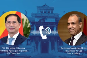 Phó Thủ tướng, Bộ trưởng Ngoại giao Bùi Thanh Sơn điện đàm với Bộ trưởng Ngoại giao Ai Cập Badr Abdelatty