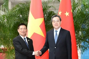 Phó Thủ tướng Hồ Đức Phớc hội đàm với Phó Thủ tướng Trung Quốc Đinh Tiết Tường