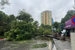 ADB đưa ra giải pháp phục hồi kinh tế sau bão số 3