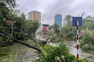 ADB hỗ trợ Việt Nam 2 triệu USD khắc phục hậu quả bão số 3 