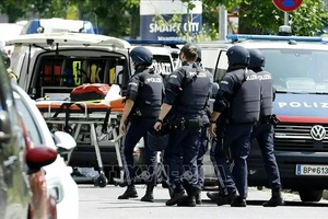 Chủ tịch nước Lương Cường gửi điện thăm hỏi Tổng thống Áo sau vụ xả súng đẫm máu