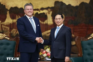 Phó Thủ tướng Bùi Thanh Sơn: Việt Nam – EU tích cực trao đổi để nâng cấp quan hệ lên Đối tác chiến lược toàn diện