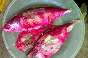 Vì sao cá biển kho xong chuyển sang màu hồng đỏ?
