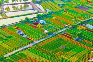 Người dân đến check-in tại làng hoa lớn nhất Bình Dương