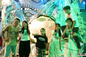 Các hẻm tại TP Thủ Đức dựng hang đá Giáng sinh, giăng đèn khắp lối chờ người đến check-in