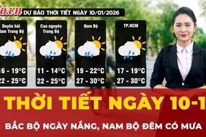 Dự báo thời tiết ngày 10-1: Bắc Bộ ngày nắng, Nam Bộ đêm có mưa 
