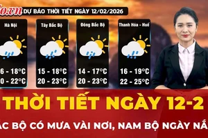 Dự báo thời tiết ngày 12-2: Bắc Bộ có mưa vài nơi, Nam Bộ ngày nắng