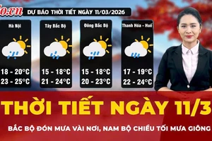 Dự báo thời tiết ngày 11-3: Bắc bộ mưa vài nơi, Nam bộ chiều tối mưa giông