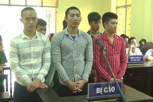 Trộm 7 con gà, 6 người lãnh án