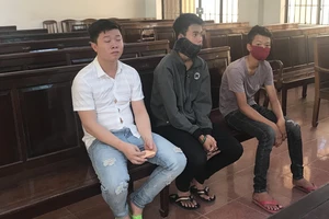 Kháng án, ba bị cáo được hưởng án treo