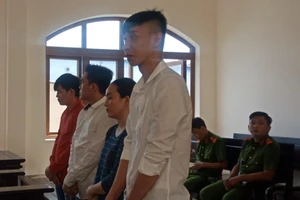 Mua ma túy về chia nhỏ, bán kiếm lời