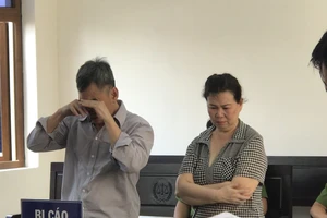Làm “người vận chuyển”, hai vợ chồng già khóc hối hận tại tòa