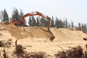 Thủ tướng chỉ đạo làm rõ vụ phá rừng phòng hộ ở Phú Yên