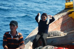 Thủ tướng chỉ đạo về dự án nhận chìm ở biển Bình Thuận