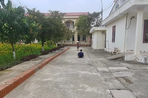 Thanh Hoá: Phó Chủ tịch yêu cầu làm rõ tố cáo sai phạm tại Trung tâm Bảo trợ số 2