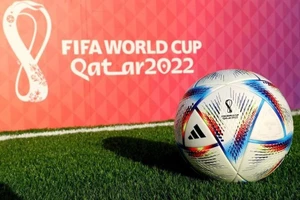 Trước giờ khai màn World Cup 2022: Cá độ qua mạng tội càng nặng thêm!