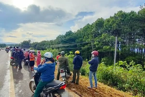 Gia Lai: 1 người tử vong trong tư thế treo cổ ở rừng thông 