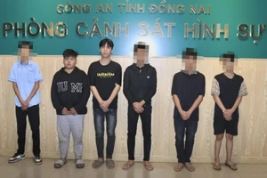 Lời khai 5 người đánh hội đồng nam sinh bằng hung khí ở Đồng Nai