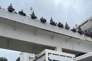 Công an điều tra vụ 1 người nhảy cầu ở chợ Đà Lạt 