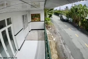 Tài xế sử dụng ma túy rồi lái xe gây tai nạn liên tiếp