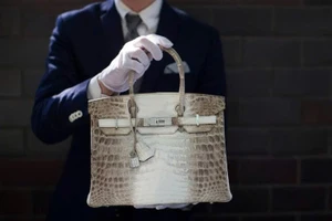 Đã có kết quả thẩm định giá 2 chiếc túi Hermès bạch tạng của bà Trương Mỹ Lan