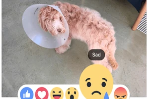 Facebook bổ sung sáu biểu tượng cảm xúc cho người dùng VN