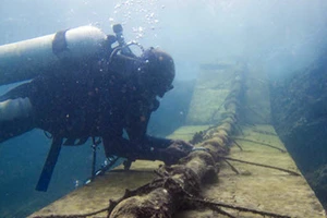 Bảo trì cáp quang biển AAG, Internet quốc tế lại chậm