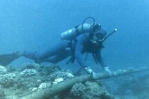 Bảo trì cáp quang biển AAG trong 5 ngày