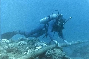 Mạng internet lại chậm vì cáp quang biển IA gặp sự cố 