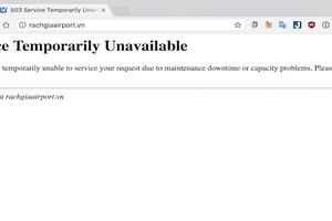 Hàng loạt sân bay trong nước bị tin tặc tấn công