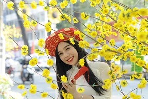 Ứng dụng cảnh báo thời tiết khi đi chơi tết